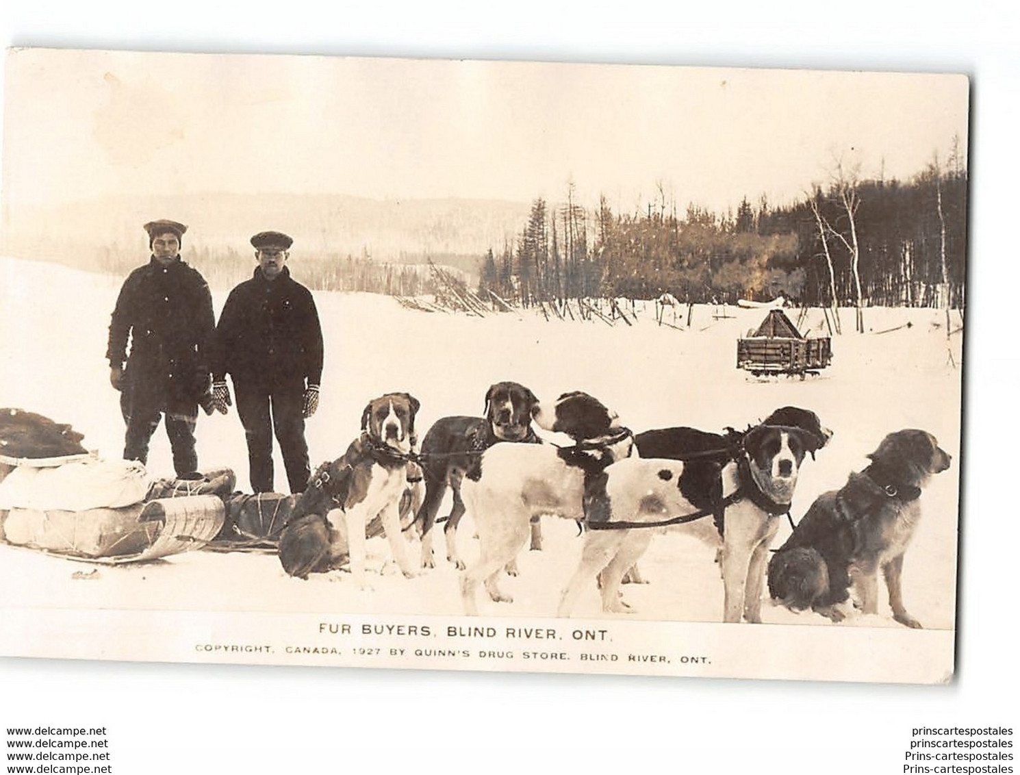CPA Canada Fur Buyers Blind River - Attelage De Chiens - Other & Unclassified