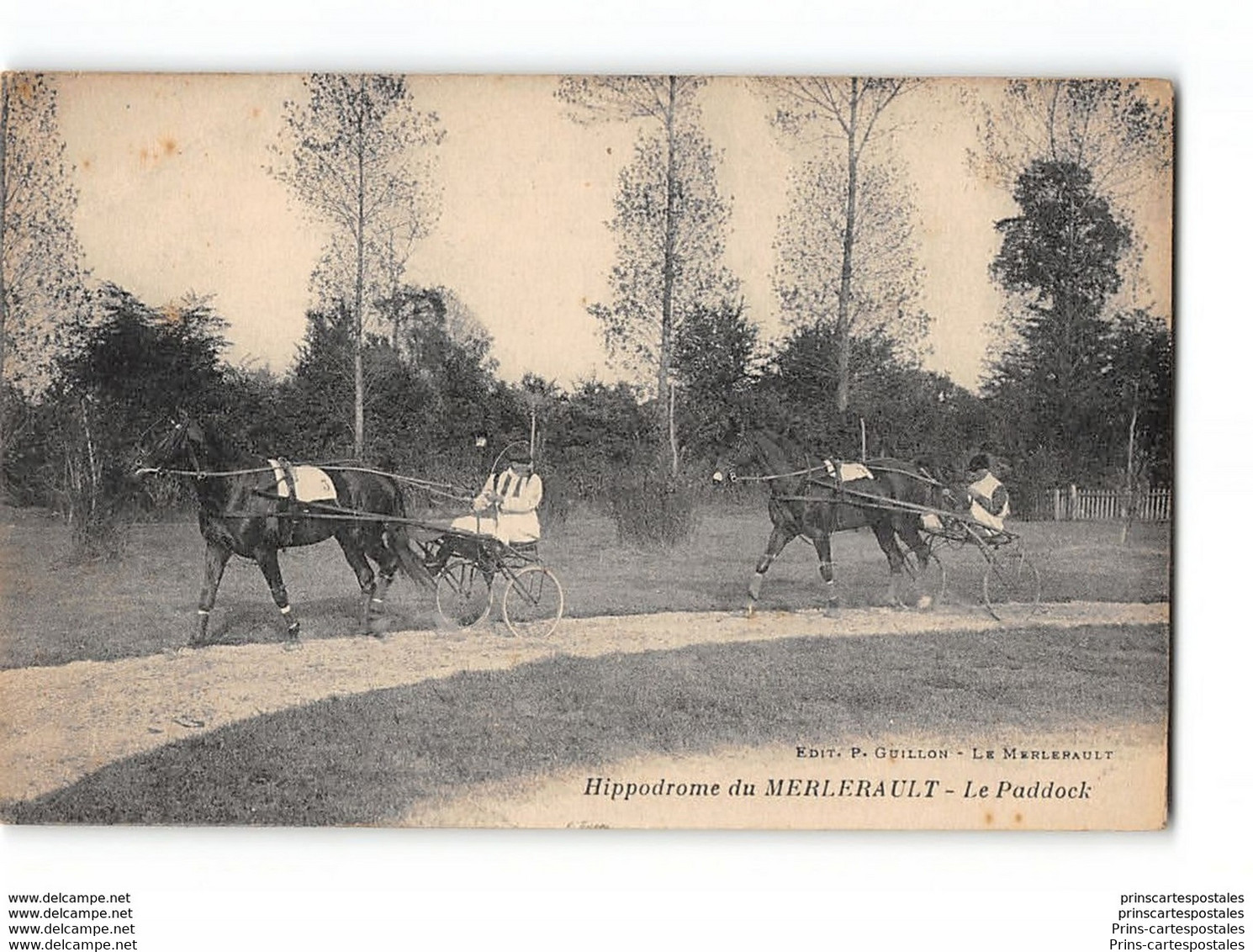 CPA 61 Le Merlerault L'hippodrome Le Paddock - Le Merlerault