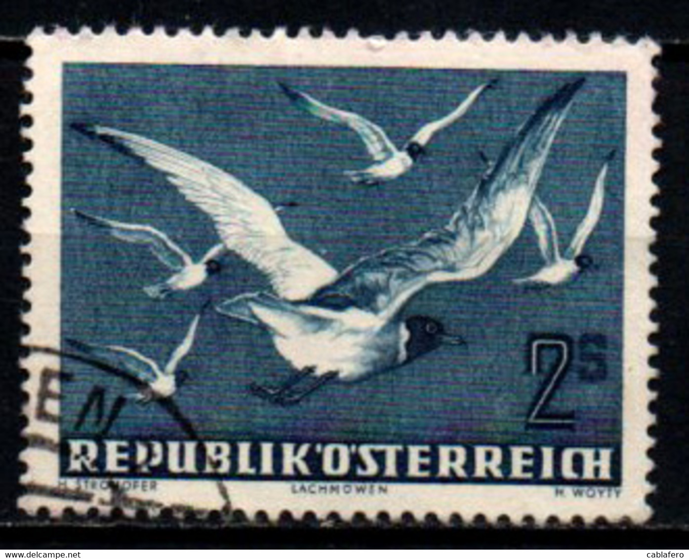 AUSTRIA - 1950 - UCCELLI IN VOLO: I GABBIANI - USATO - Usati