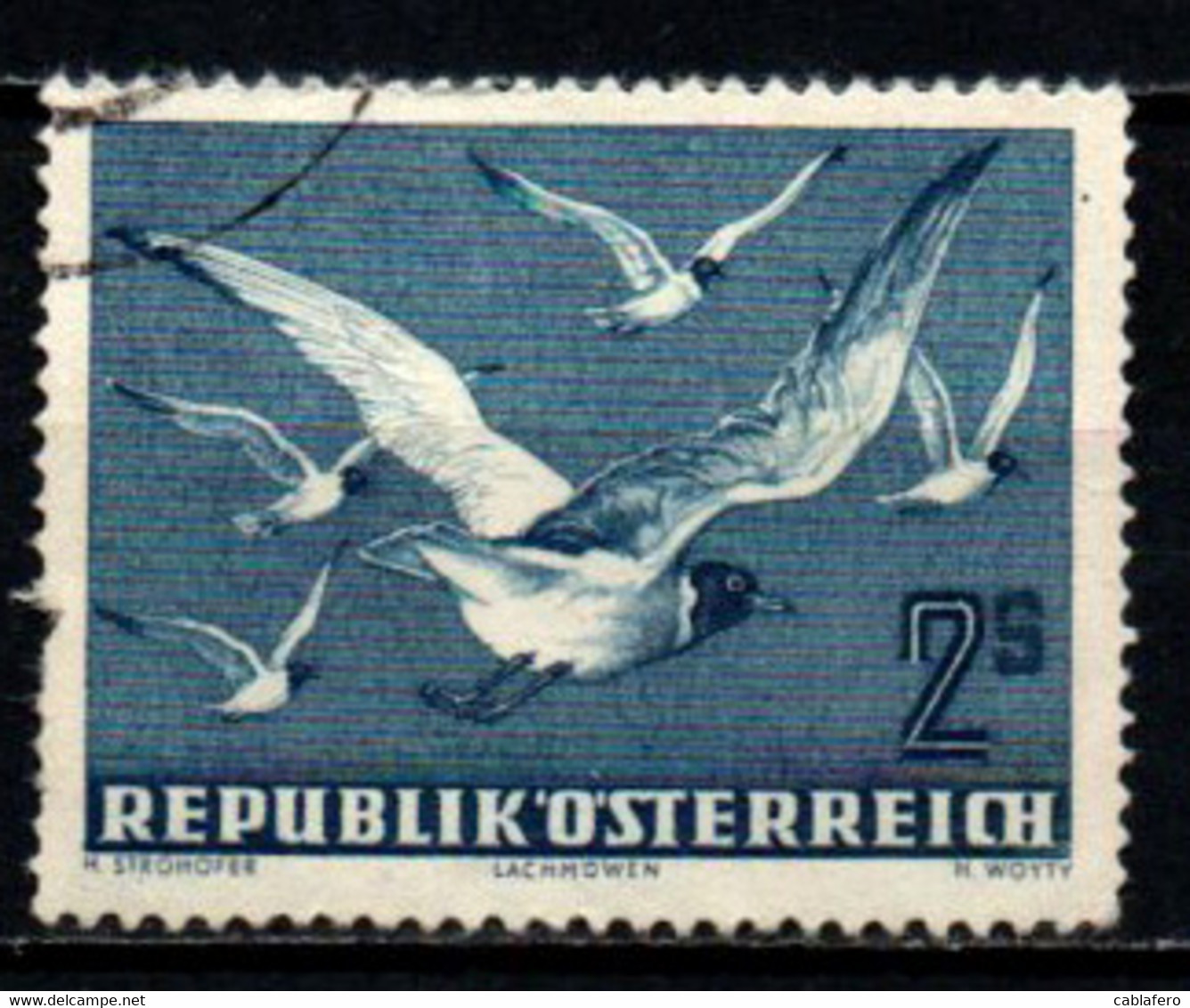 AUSTRIA - 1950 - UCCELLI IN VOLO: I GABBIANI - USATO - Used Stamps
