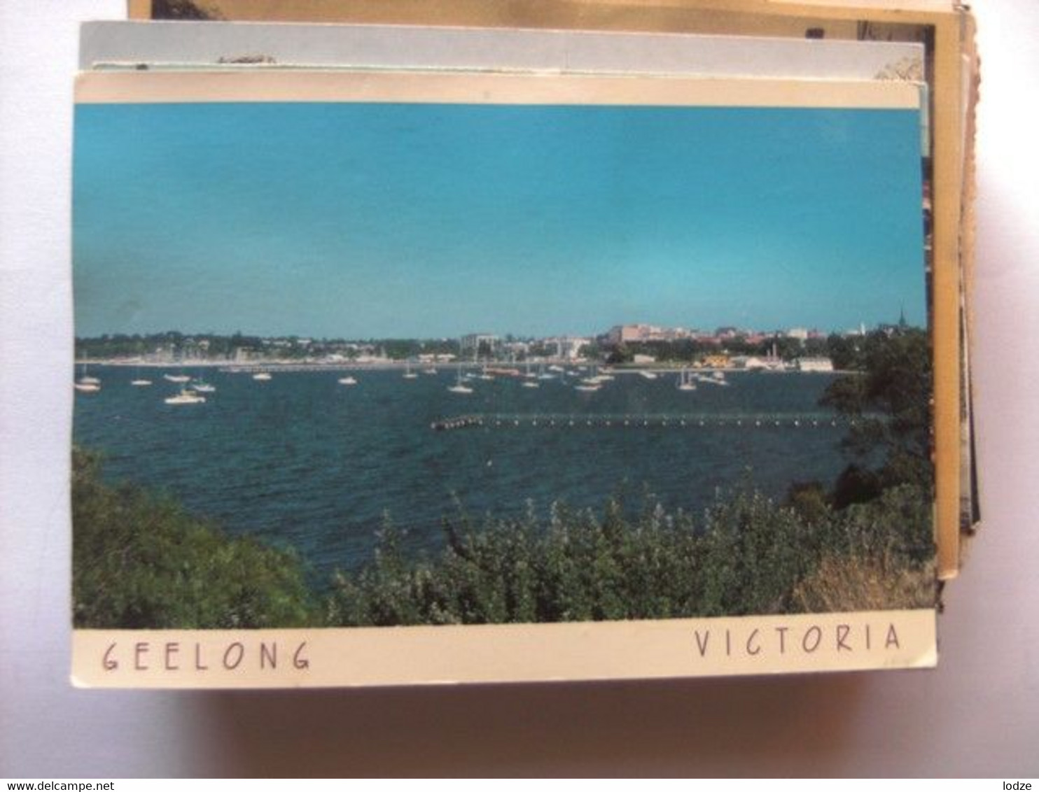 Australia Victoria Geelong City Skyline - Geelong