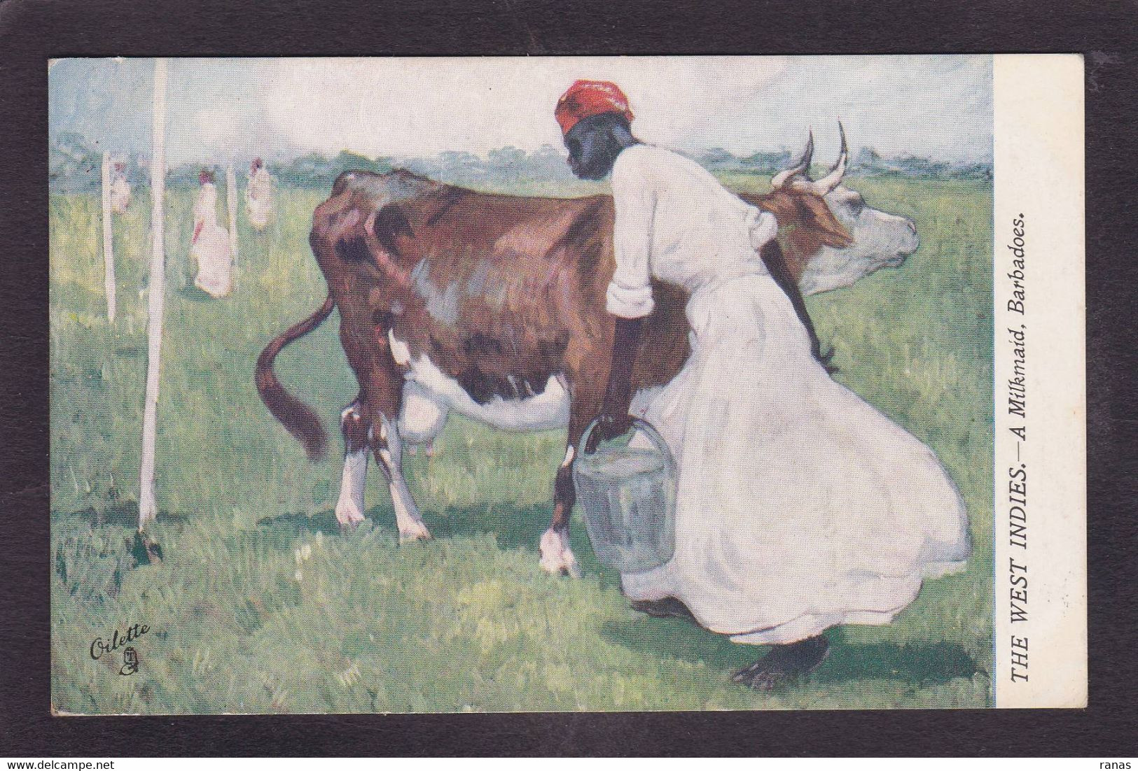 CPA Antilles > Barbades Illustrateur Oilette Tuck's Négritude Black Voir Le Dos Non Circulé Vache - Barbados (Barbuda)