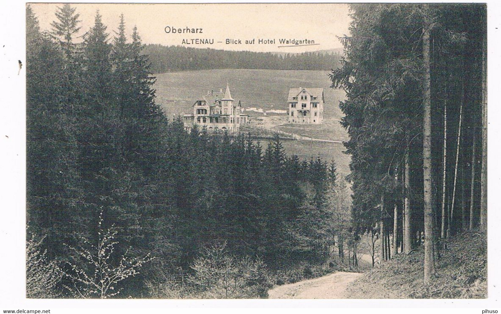 D-11861   ALTENAU : Blick Auf Hotel Waldgarten - Altenau