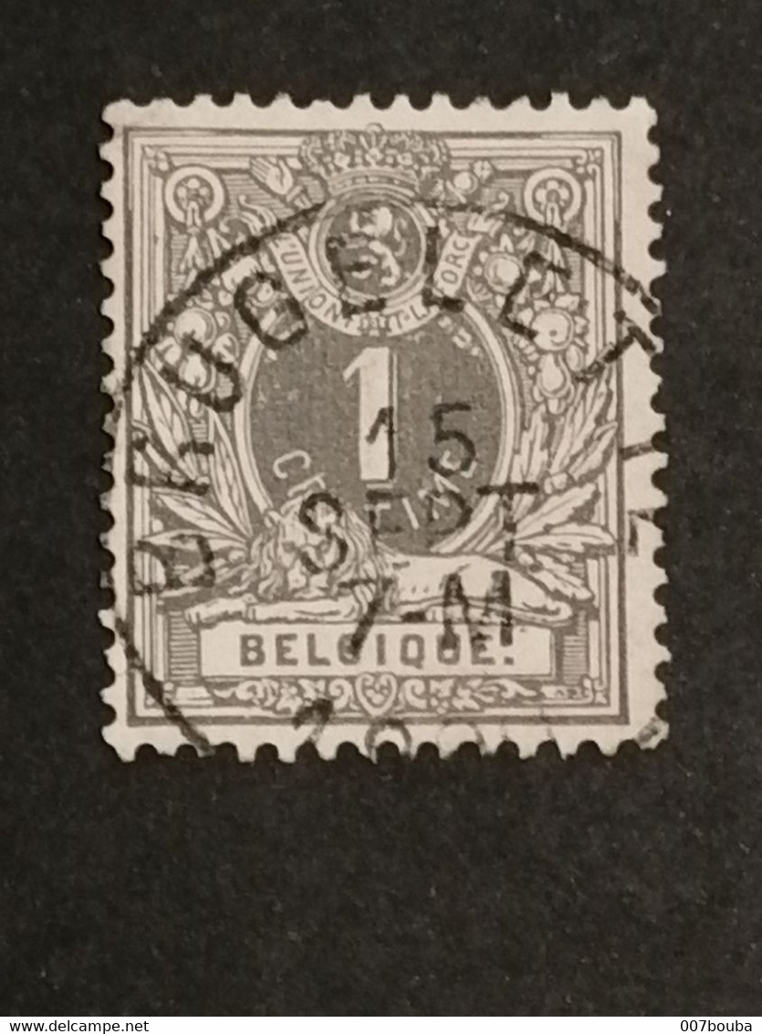 COB N° 43 Oblitération Brugelette - 1869-1888 Leone Coricato