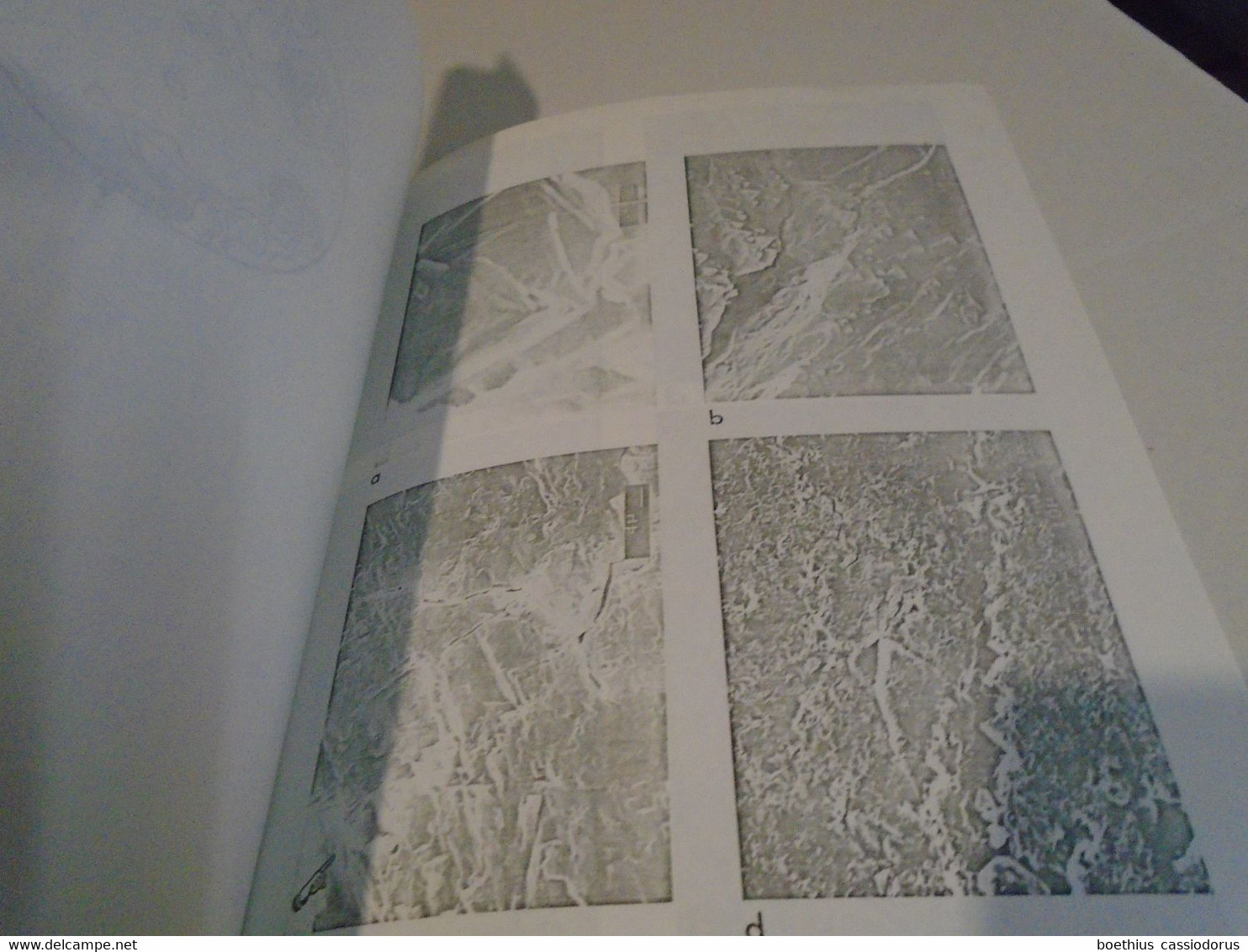 DIRECT PIEZOELECTRIC EFFECT IN VEIN QUARTZ, FAIRVIEW MINING AREA, BRITISH COLUMBIA CANADA GHOMSHEI NAROD RUSSELL MAXWELL - Sciences De La Terre