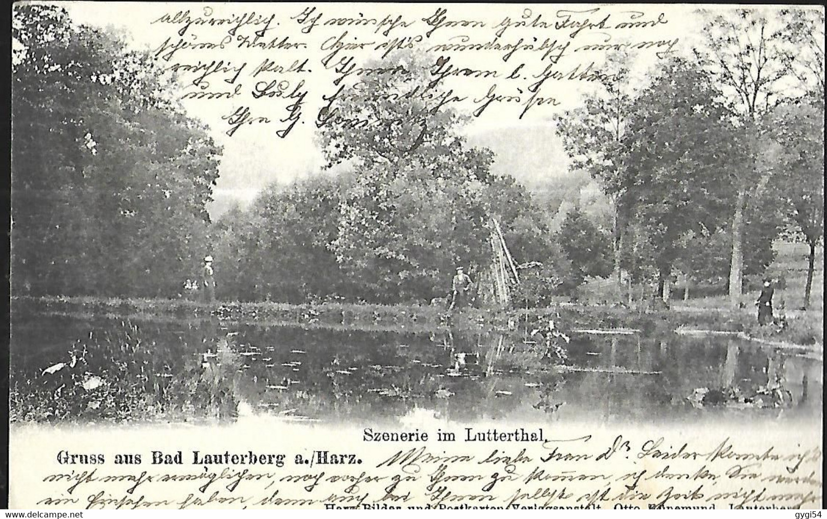 Gruss Aus Bad   Lauterberg Am Harz Szenerie Im Lutterthal  AK 1904 - Bad Lauterberg