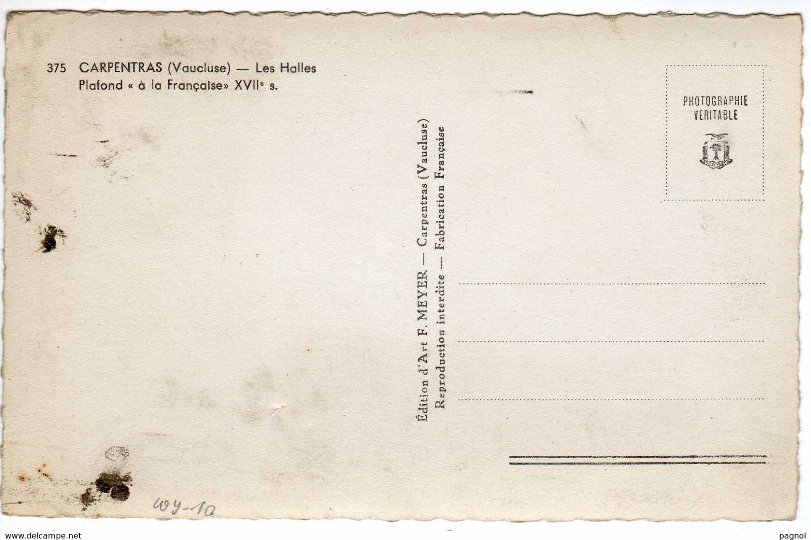 84 : Carpentras : Les Halles  ( Cpsm P.F. ) - Carpentras