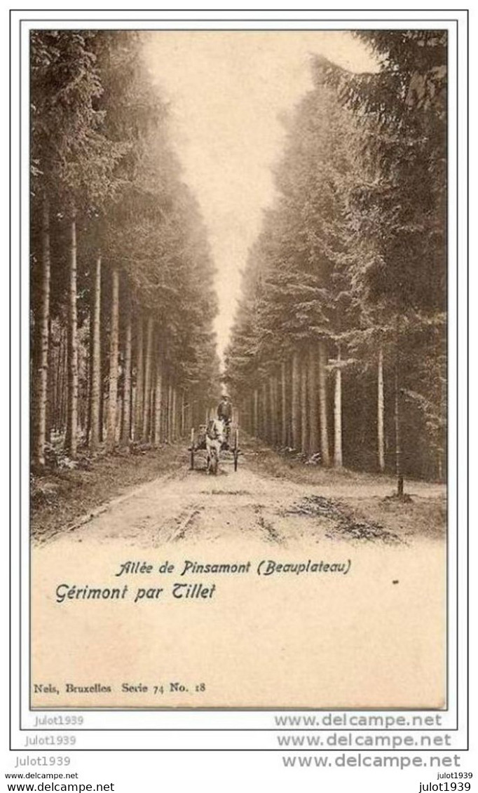 GERIMONT ..-- Nels , 74 , N° 18 . Allée De PINSAMONT . 1903 Vers XL ( Melle Eva FRANCAUX ) . Verso . - Sainte-Ode