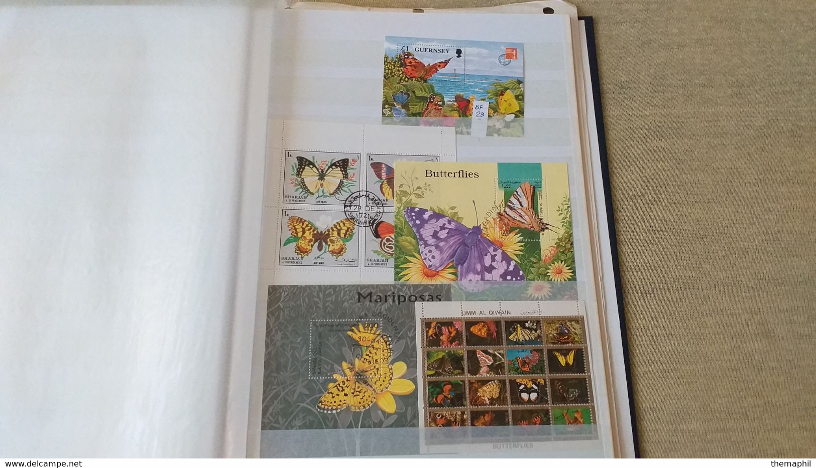 lot n° TH 146 THEMATIQUE PAPILLONS un gros classeur de 64 pages