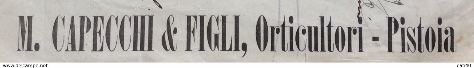 PUBBLICITA' ADVERTISING  SU BIGLIETTI DELLE FERROVIE DELLO STATO - PISTOIA  20 DICEMBRE 1919 - Europa