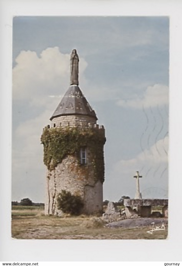 Allaire, Le Moulin De Brancheleux (calvaire) Cp N°7451 Jack - Allaire