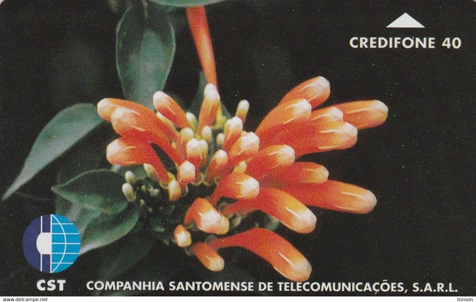 São Tomé And Príncipe, ST-CST-0005, Flower 4, 2 Scans. - Sao Tome En Principe