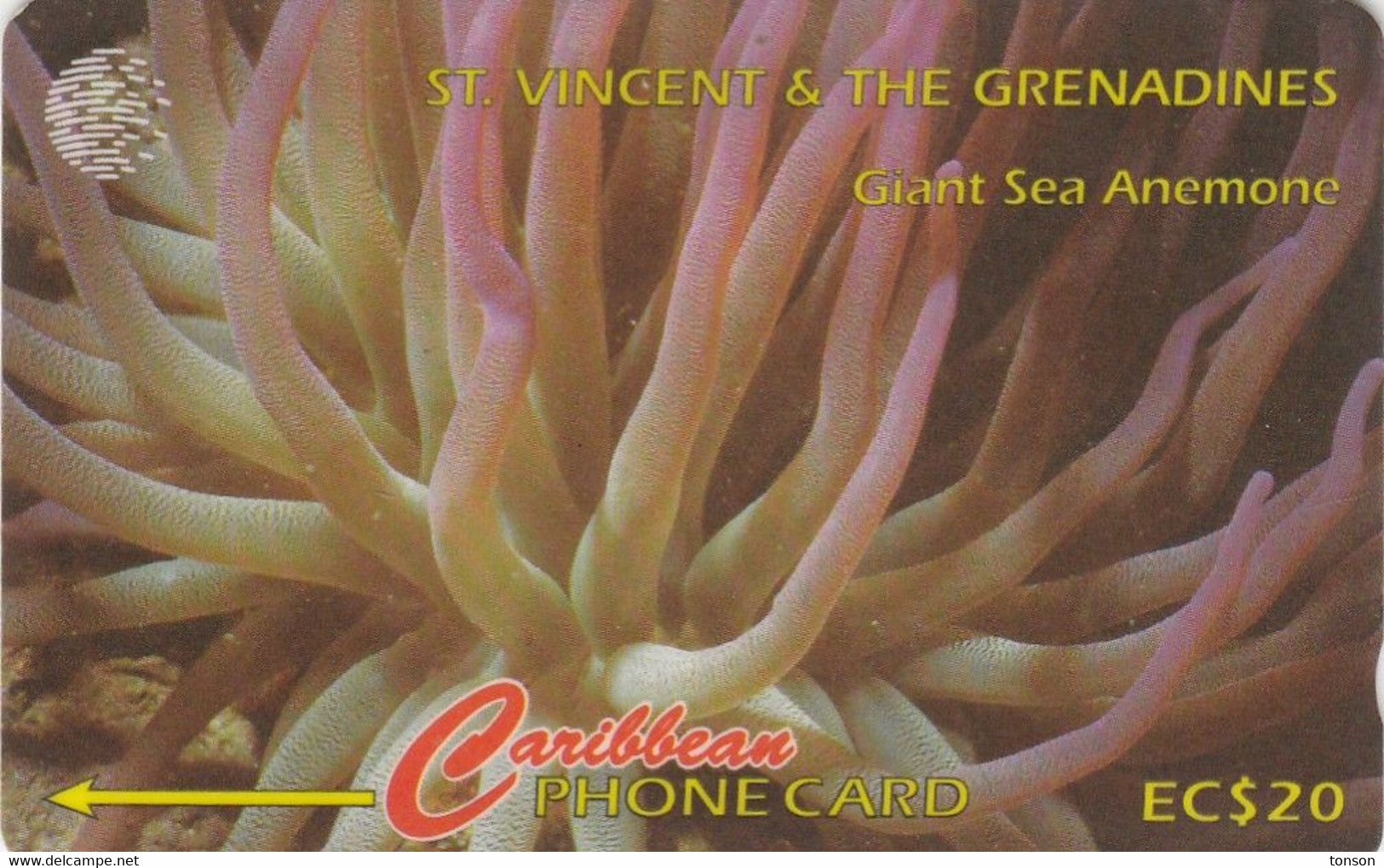 St. Vincent & The Grenadines, STV-142C, Sea Anemone,  2 Scans. - St. Vincent & The Grenadines