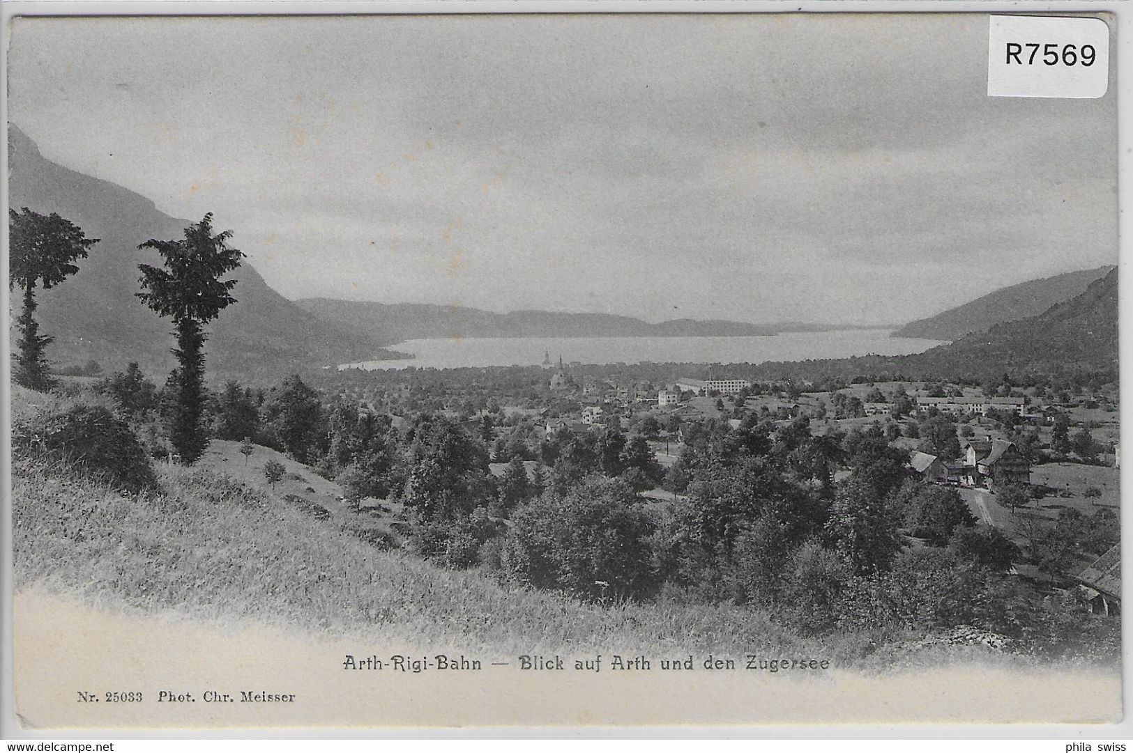 Arth-Rigi-Bahn - Blick Auf Arth Und Den Zugersee - Arth