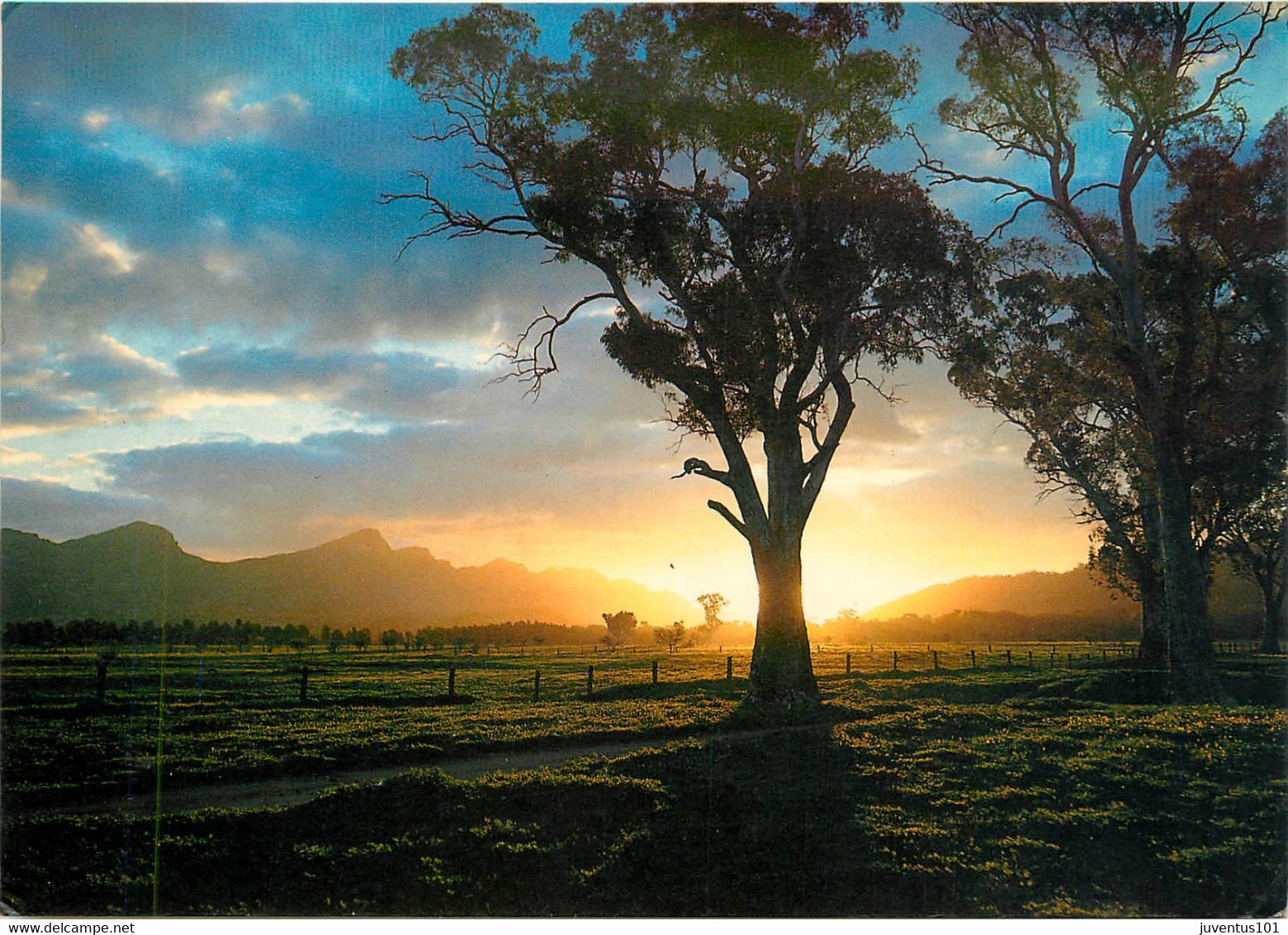 CPSM Sunset Near Wilpena Pound-South Australia    L193 - Otros & Sin Clasificación