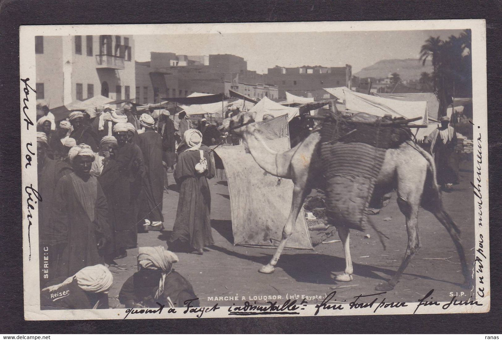 CPA Egypte > Louxor Marché Market Chameau Circulé - Luxor