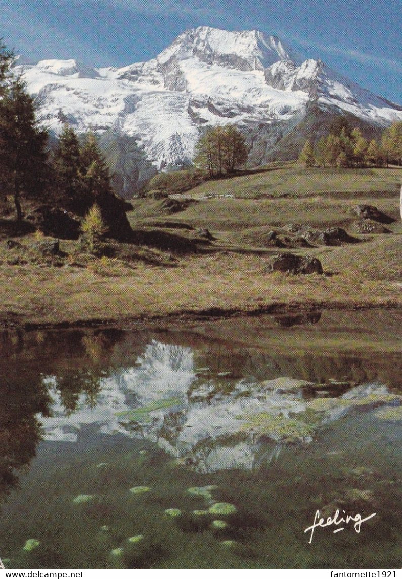 AU COEUR DES MONTAGNES (ANA15) - Rhône-Alpes