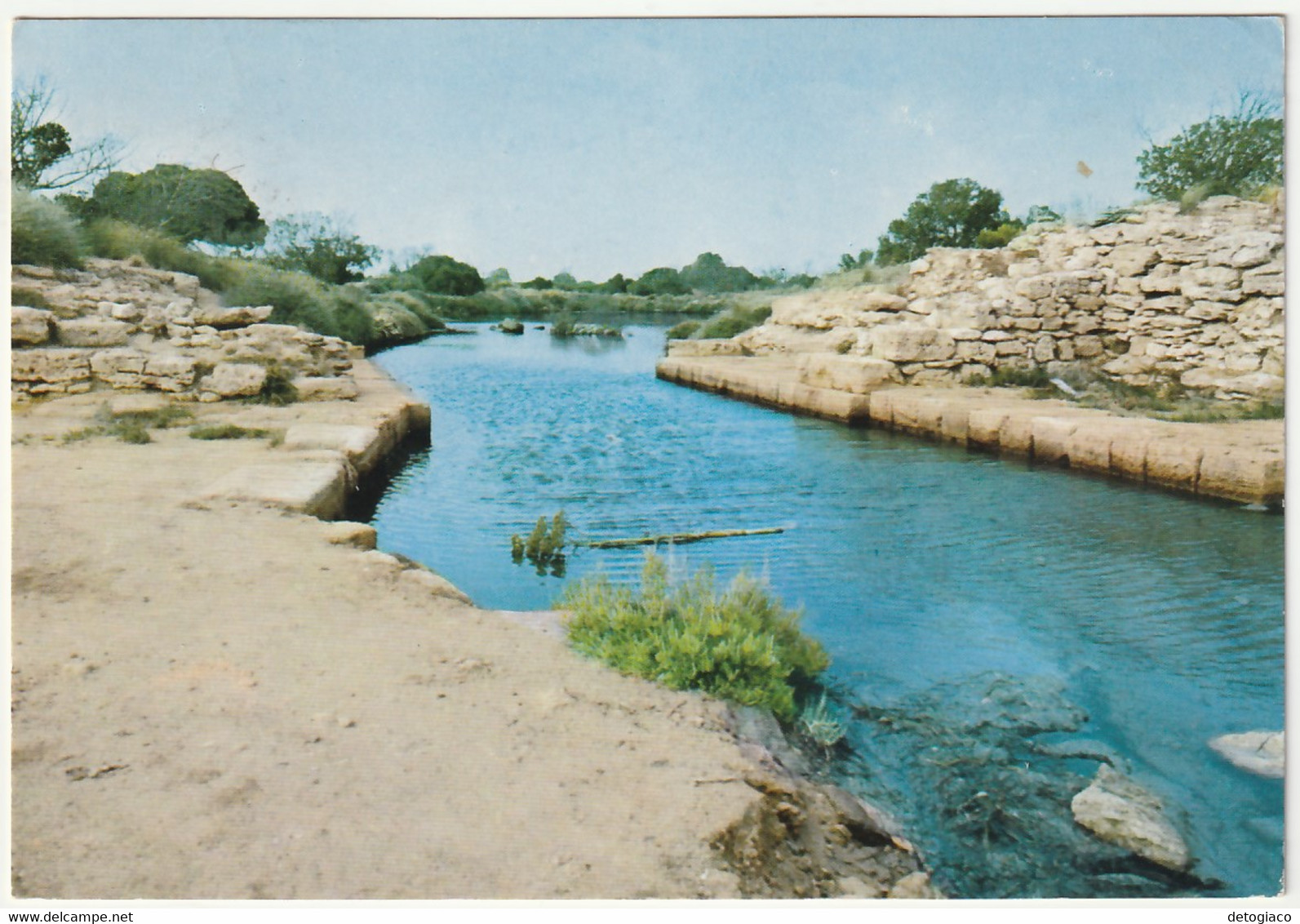 MARSALA - ISOLA DI MOZIA - TRAPANI - VIAGG. -54242- - Marsala