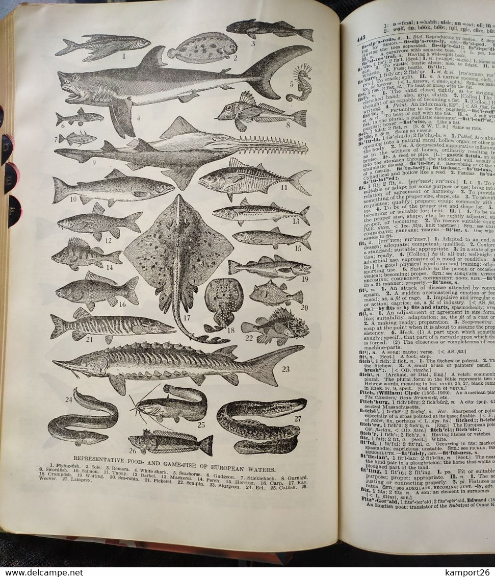 1923 The Practical Standard Dictionary Of The English Language ILLUSTRATED Frank H Vizetelly - Englische Grammatik