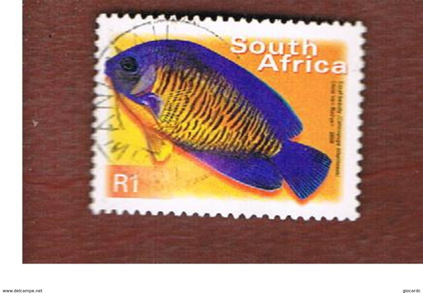 SUD AFRICA (SOUTH AFRICA) - SG 1215   -   2000 FISHES: CORAL BEAUTY  - USED - Used Stamps