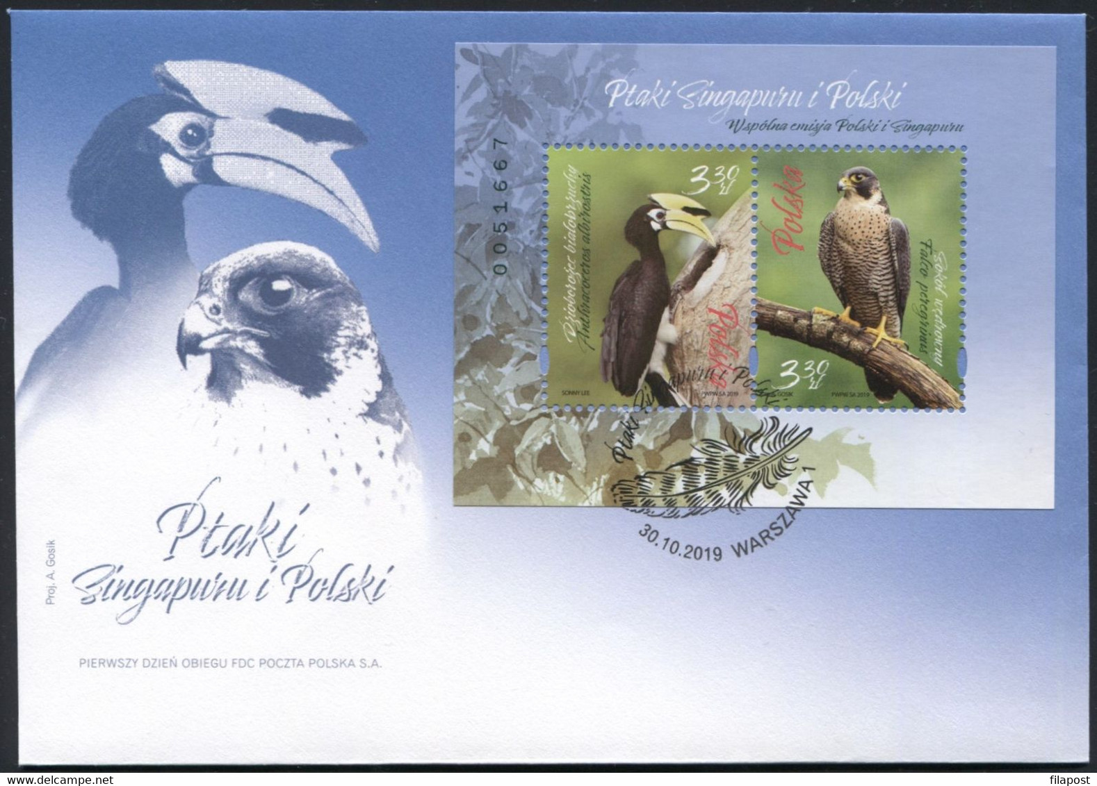 2019 Birds Of Singapore And Poland, Bird Birds, Joint Issue Edition White-bellied Hornbill, Peregrine Falcon FDC - Lettres & Documents