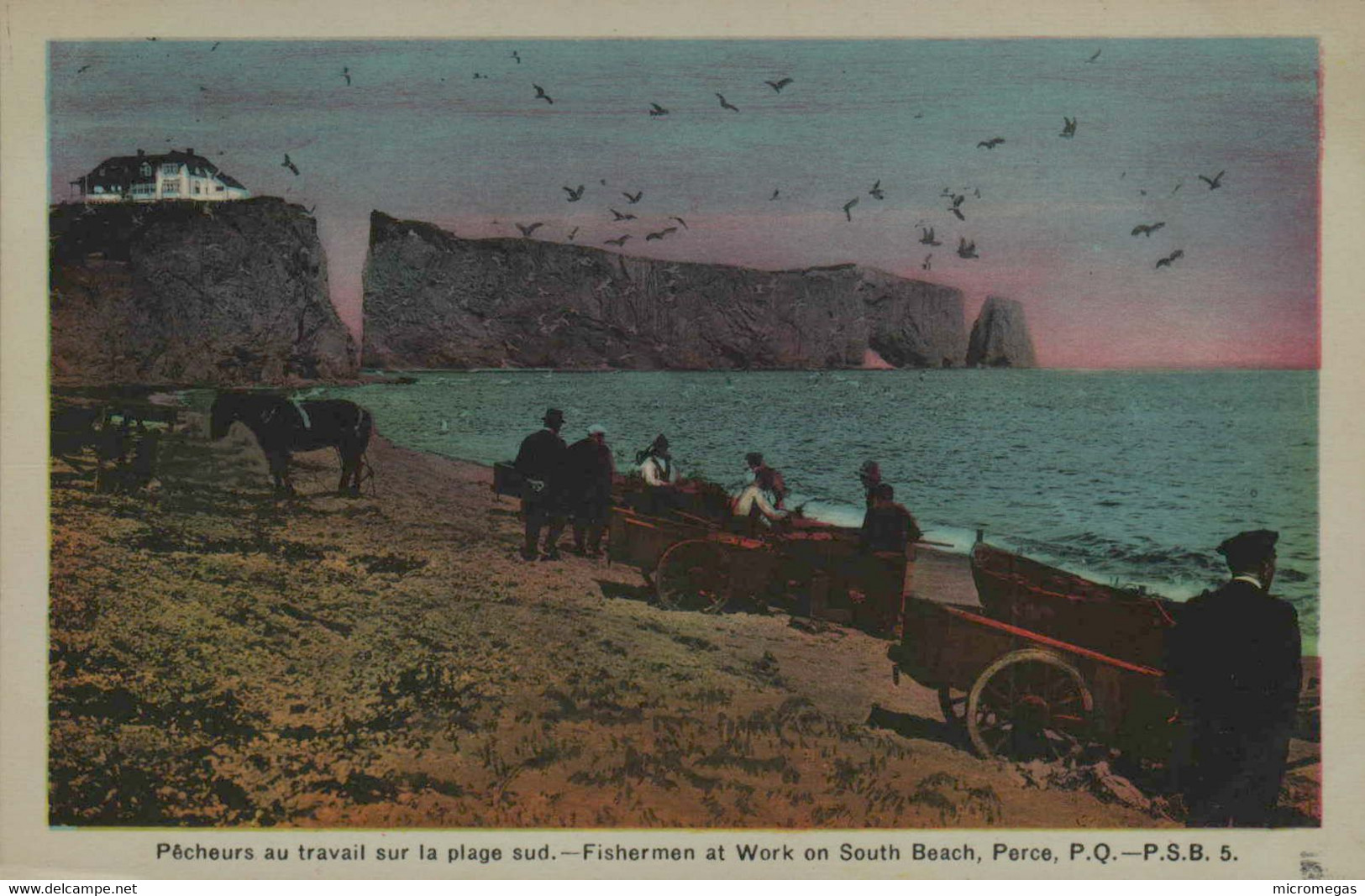 PERCE - Pêcheurs Au Travail Sur La Plage Sud - Percé