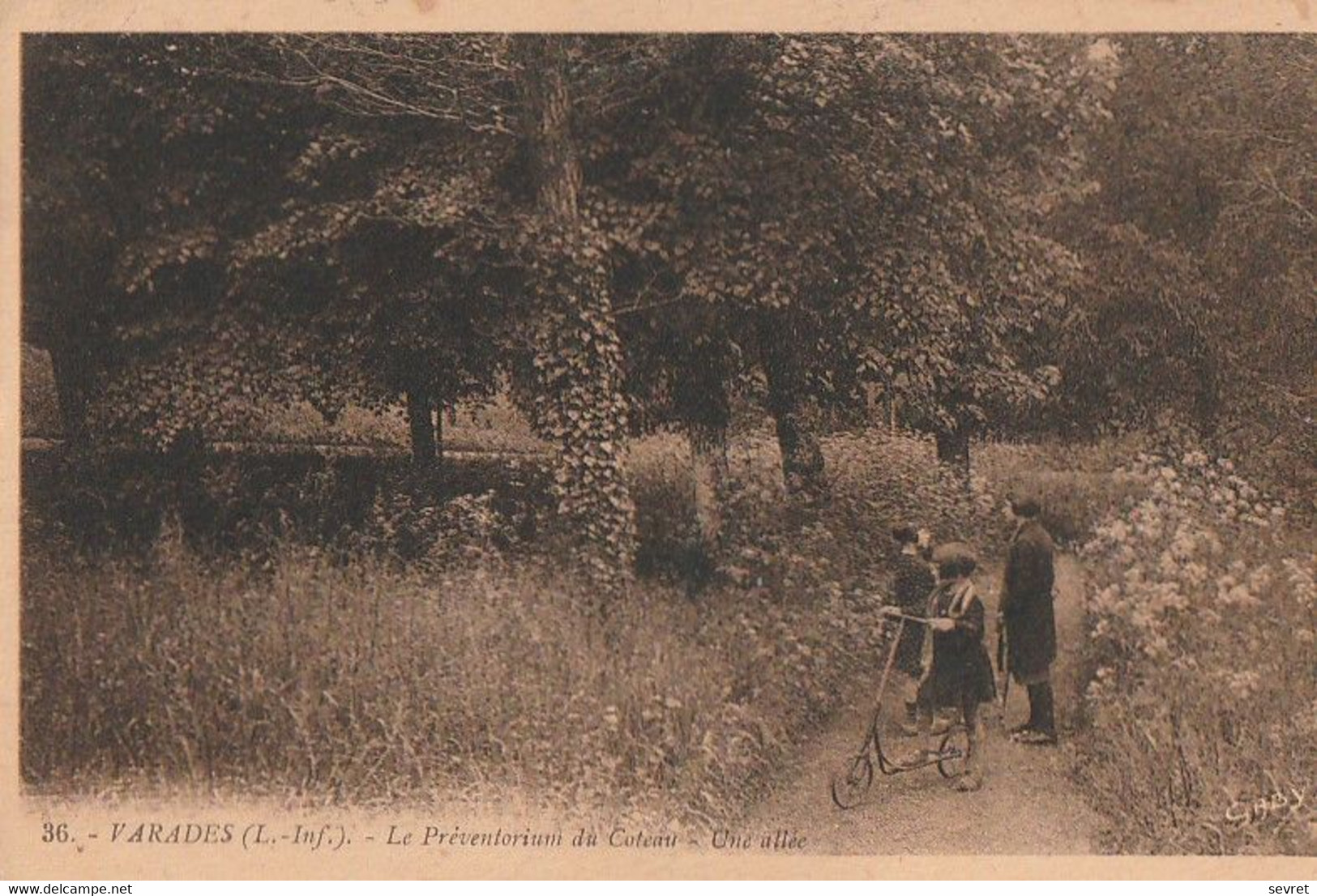 VARADES. - Le Préventorium Du Coteau - Une Allée. Enfant Avec Trottinette. Carte Pas Courante - Varades