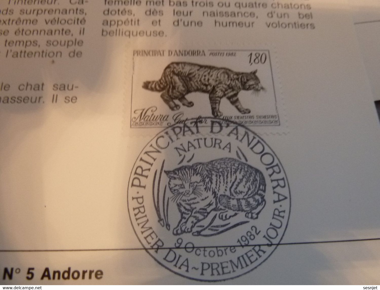 Andorre-la-Vieille - Protection De La Nature - Chat Sauvage - Année 1982 - - Used Stamps