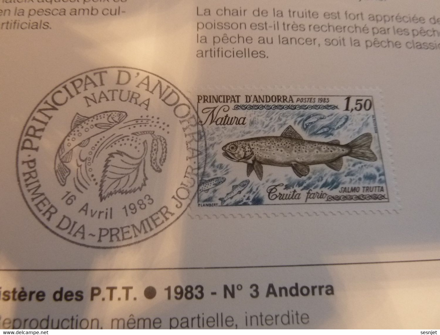 Andorre-la-Vieille - Protection De La Nature - La Truite - Année 1983 - - Lettres & Documents