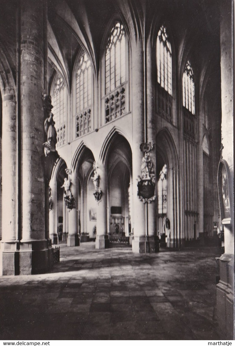 2 - Diest - Collegiale Kerk Van St.-Sulpitius En St.-Dionysius - Middenbeuk-Dwarsbeuk (XVe Eeuw) - Nef Centrale-Transcep - Diest