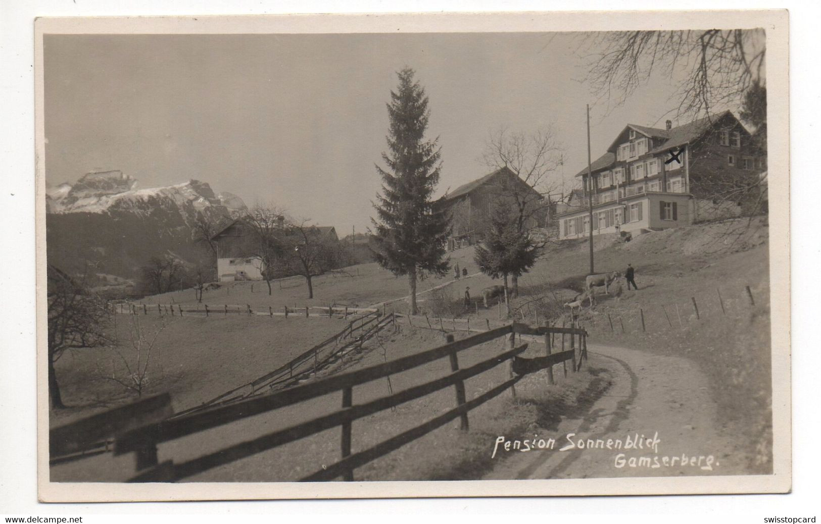 GRABSERBERG Pension Sonnenblick Gel. 1928 V. Gams Stempel Pension - Gams