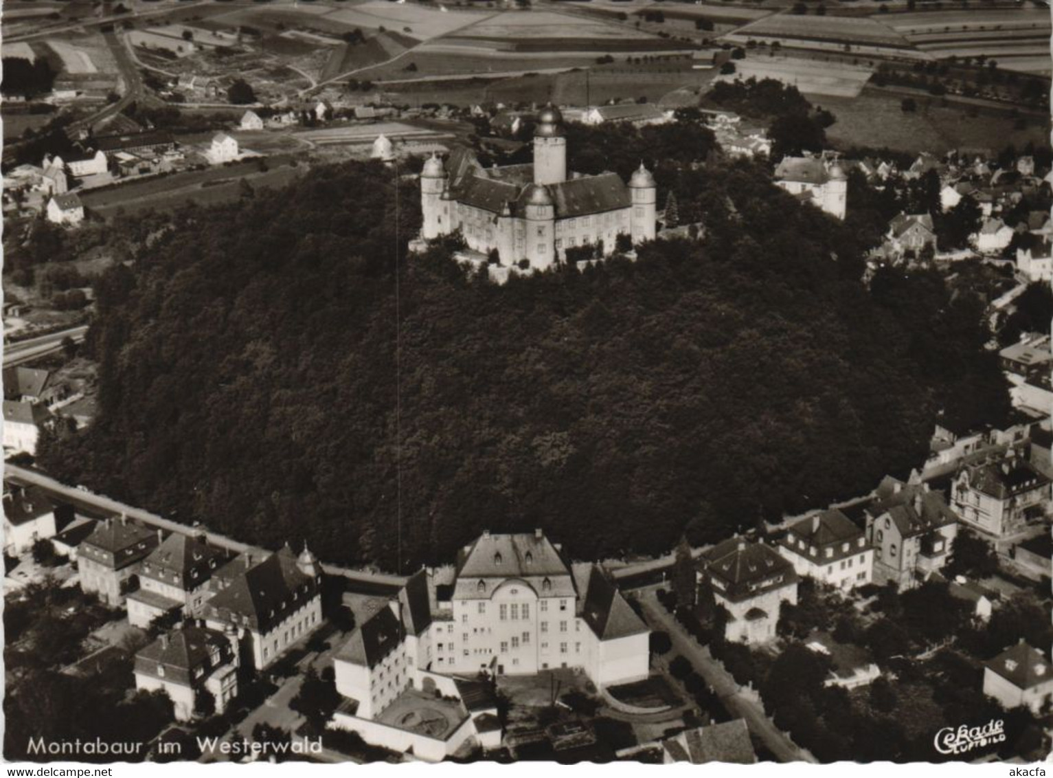 CPA AK Montabaur - Panorama Mit Schloss GERMANY (1069213) - Montabaur