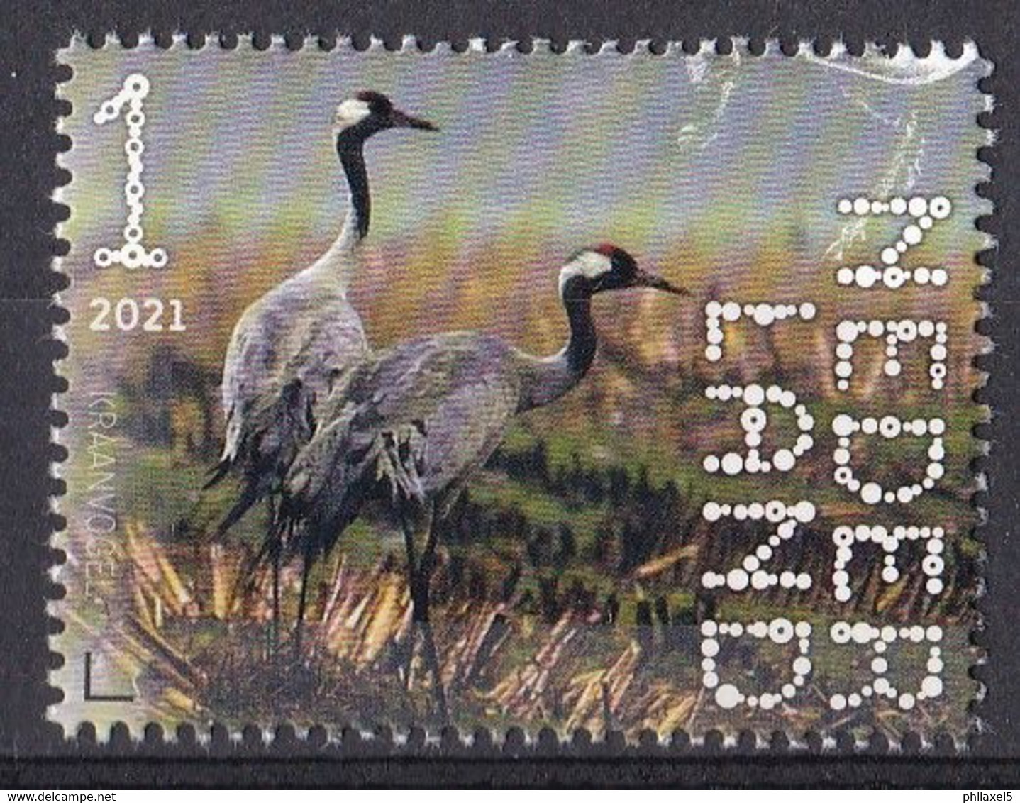 Nederland - Beleef De Natuur - 4 Januari 2021 - Dwingelerveld - Kraanvogels - MNH - Unused Stamps