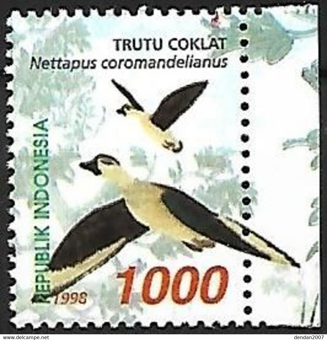 Indonesia - MNH ** 1998 :    Cotton Pygmy Goose -   Nettapus Coromandelianus - Oies