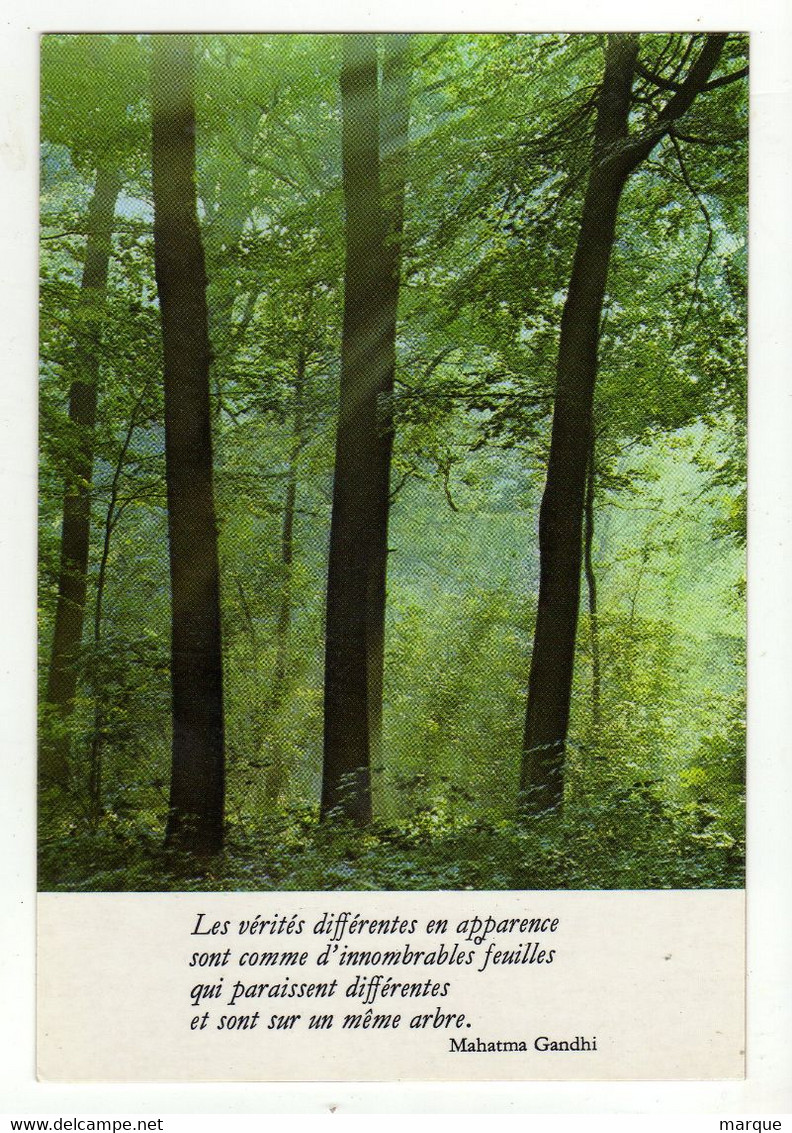 Cpm N° CPT 7634 Les Vérités Différentes En Apparence Sont Comme D' Innombrables Feuilles Qui Paraissent Différentes - Bomen