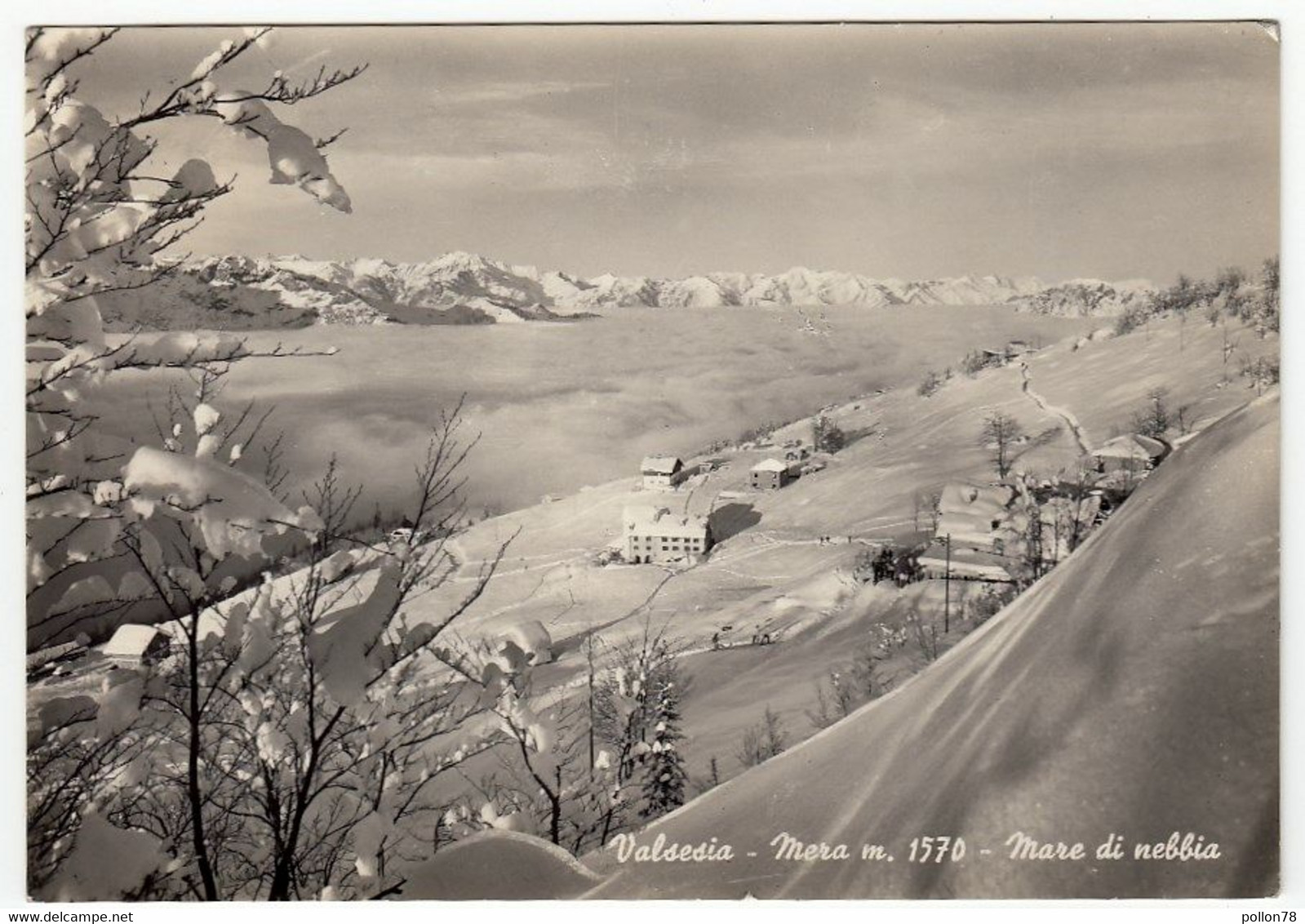 VALSESIA - MERA - MARE DI NEBBIA - VERCELLI - 1957 - Con Timbro Rifugio Borgosesia - Vercelli