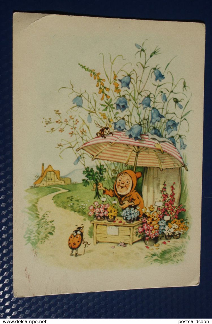 Dwarf , Ladybird, Bee, OLD POSTCARD - Fritz Baumgarten (illustrator) - 1950s - Baumgarten, F.