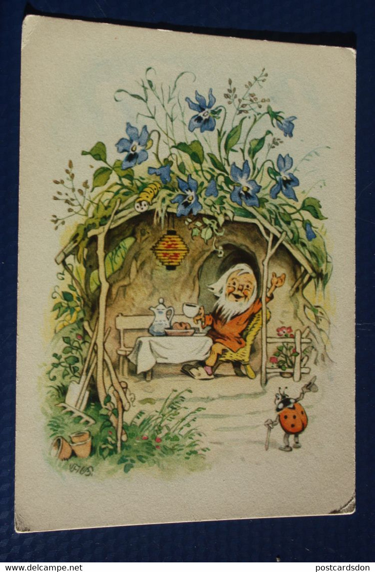 Dwarf , Ladybird, Bee, OLD POSTCARD - Fritz Baumgarten (illustrator) - 1950s - Baumgarten, F.