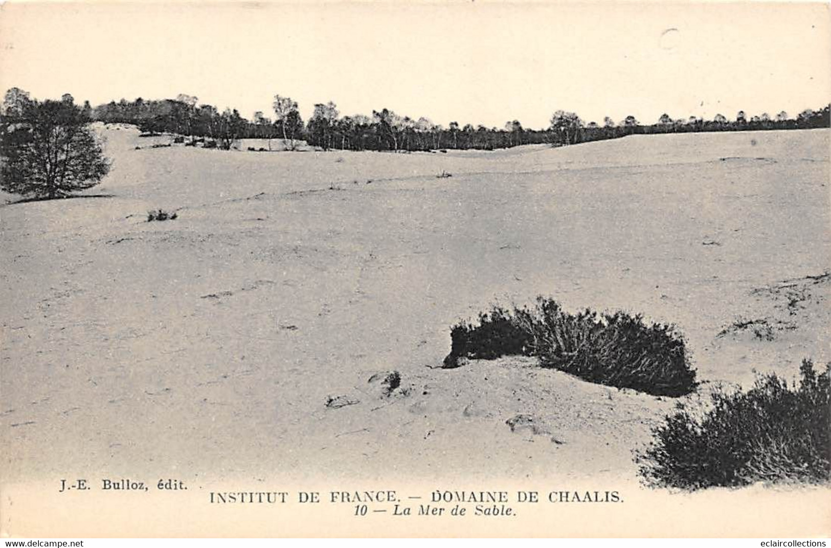 Ermenonville       60       La Mer De Sable    . Domaine De Chaalis    (voir Scan) - Ermenonville