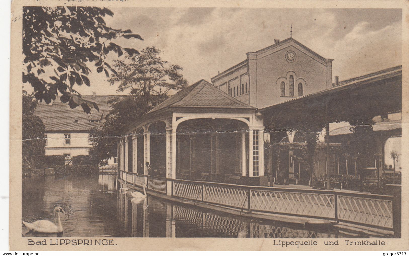 911) BAD LIPPSPRINGE - Lippequelle Und Trinkhalle - Schwäne Am Wasser 24.09.1928 !! - Bad Lippspringe