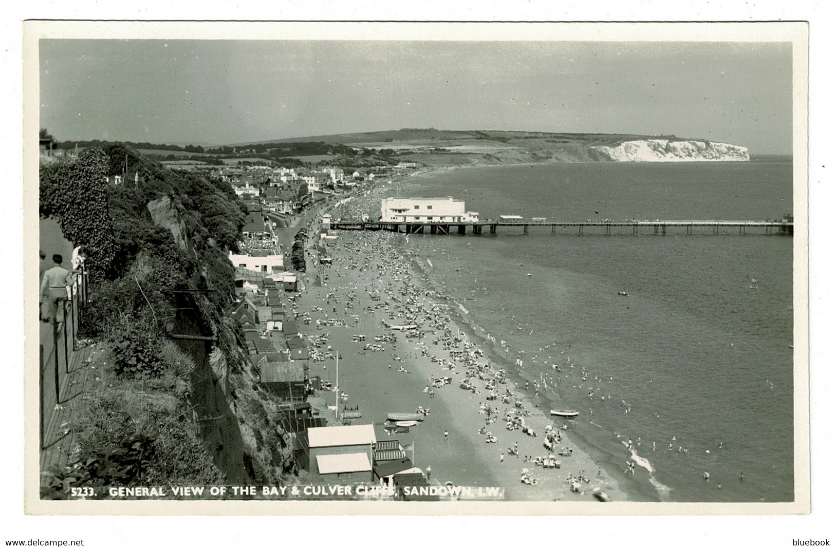 Ref 1438 - Real Photo Postcard - View Of The Bay & Culver Cliffs - Sandown Isle Of Wight - Sandown