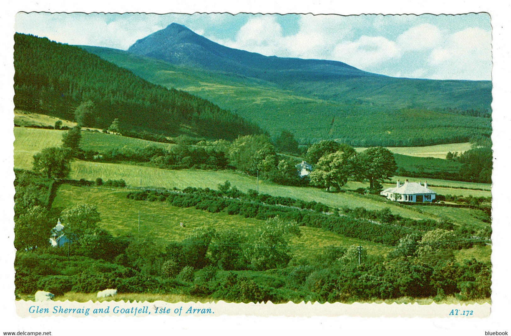 Ref 1438 - Postcard - Glen Sherraig & Goatfell - Isle Of Arran Scotland - Bute