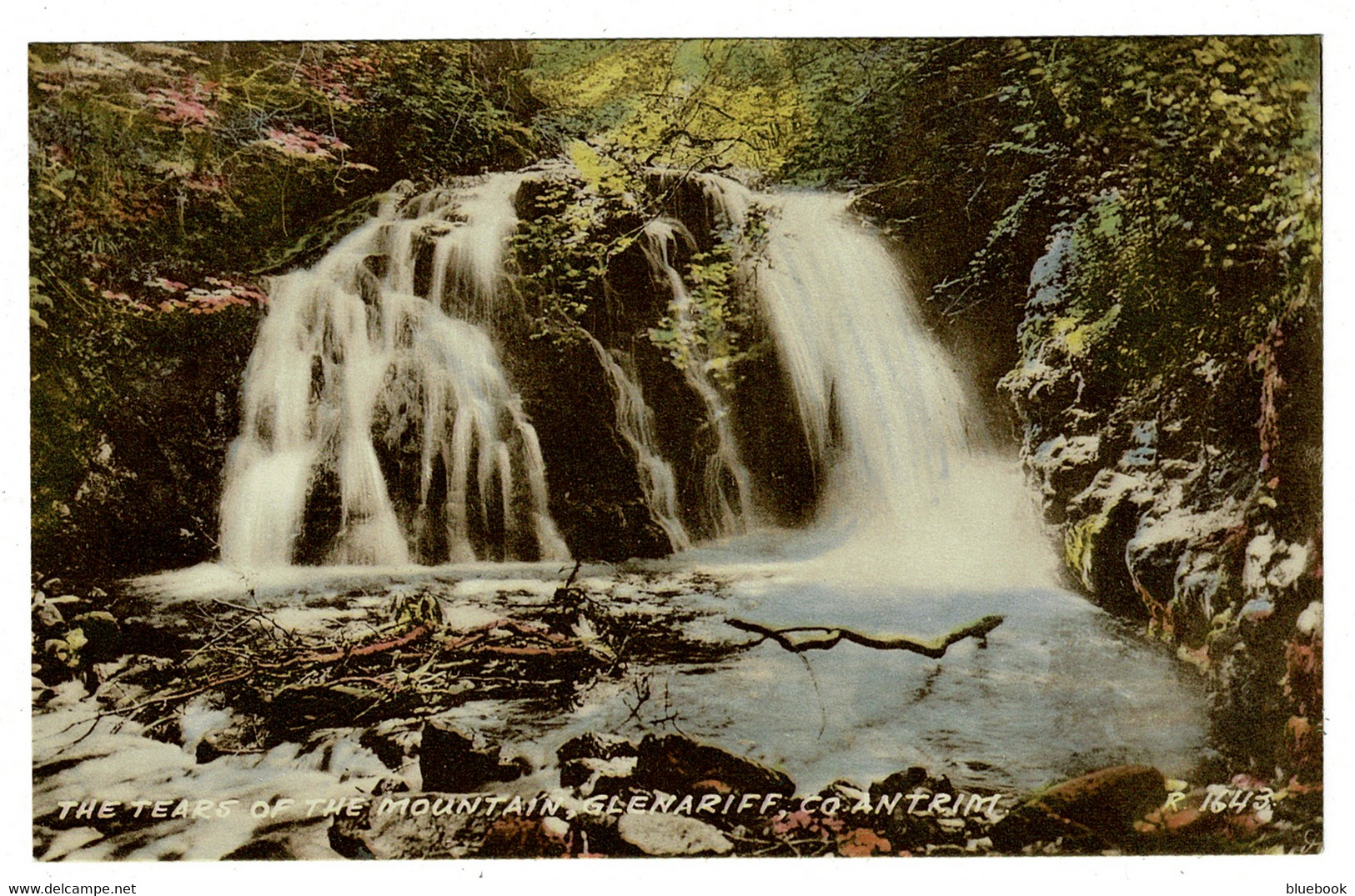Ref 1440 - 2 X Early Postcards - Waterfalls Of County Antrim - Ireland - Antrim