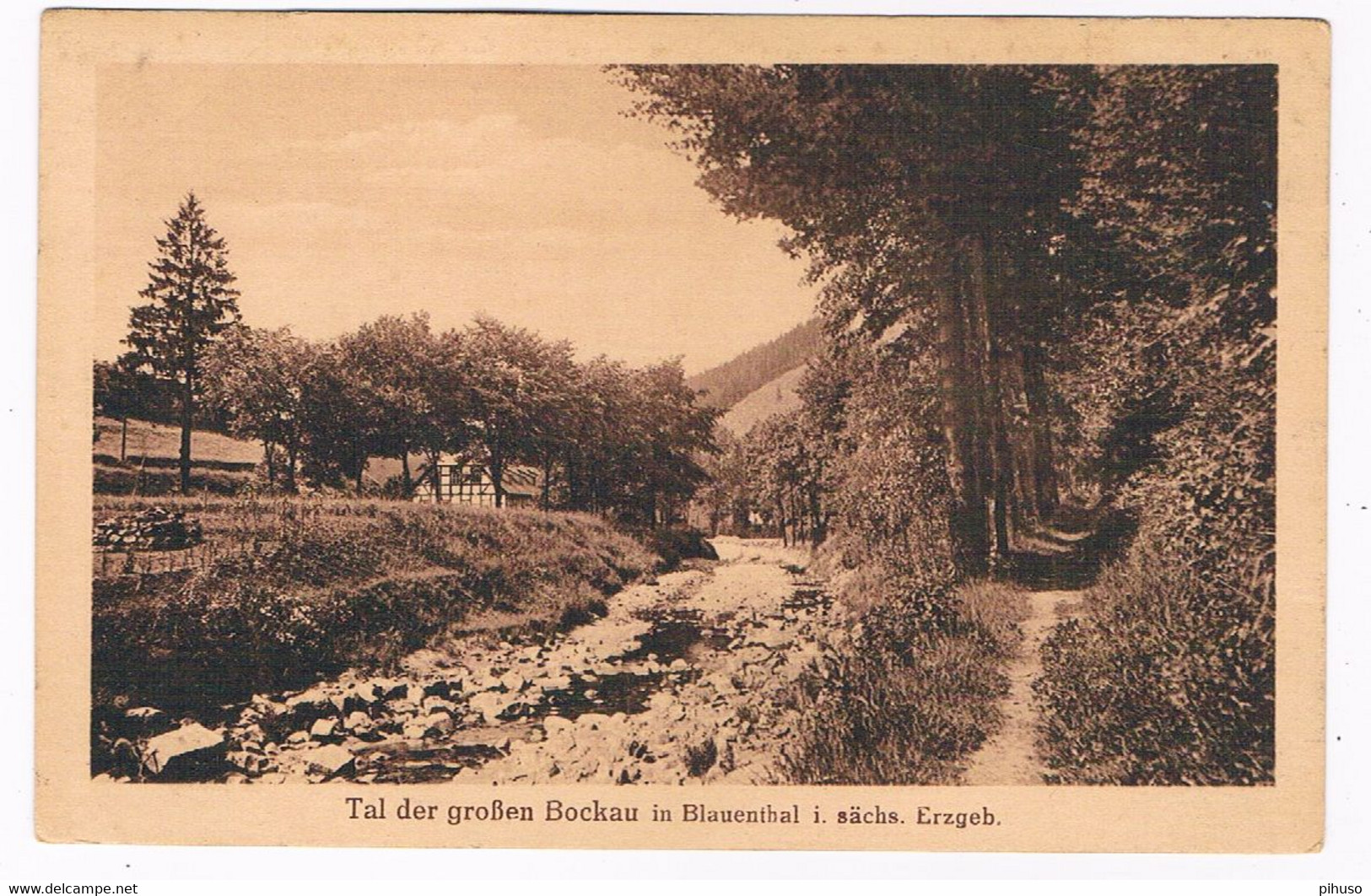 D-11911   BLAUENTHAL : Tal Der Grossen Bockau - Eibenstock