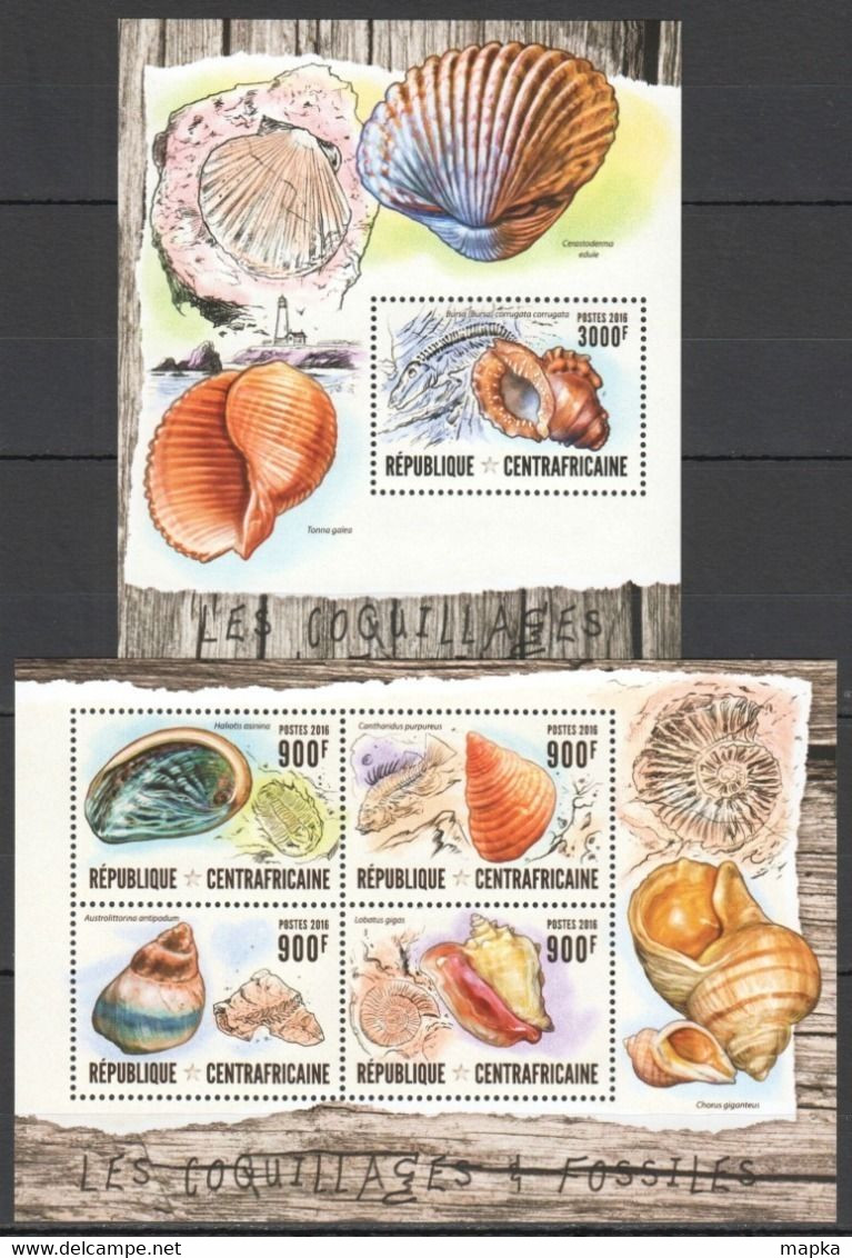 CA022 2016 CENTRAL AFRICA CENTRAFRICAINE FAUNA MARINE LIFE SEASHELLS LES COQUILLAGES KB+BL MNH - Conchas