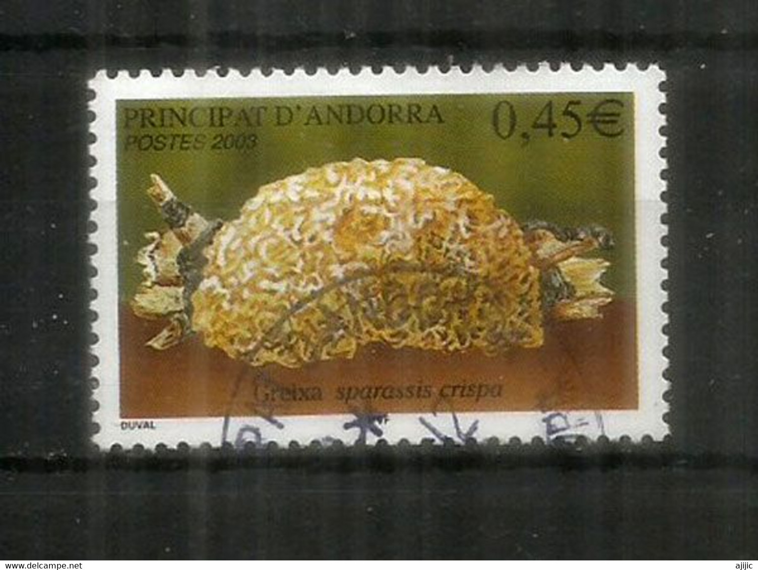 Champignon:  La Clavaire Crépue Des Forêts De Pins De Sapins.  Timbre Oblitéré, 1 ère Qualité - Used Stamps