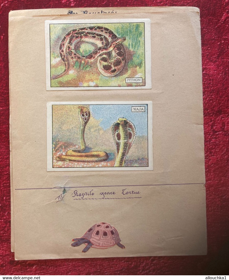 ⭐CAHIER école écolier illustré Reptiles et Batraciens avec dessins-découpes/images chromos bons points chocolat poulain