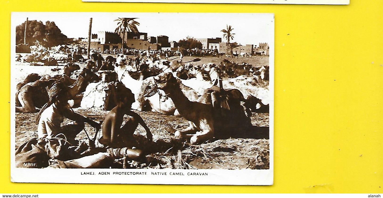 Lahej. Aden Protectorate Native Camel Caravan Yemen - Jemen