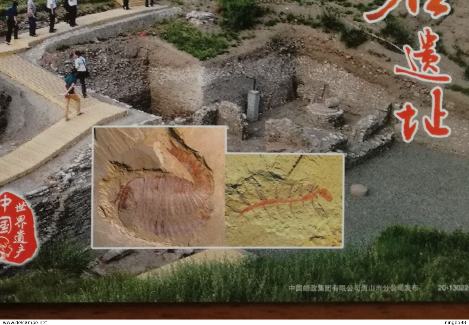 530 Million Years Fuxianhuia Hallucigenia Fossil,CN20 UNESCO World Heritage Chengjiang Fauna Fossils Excavation Site PSC - Fossils