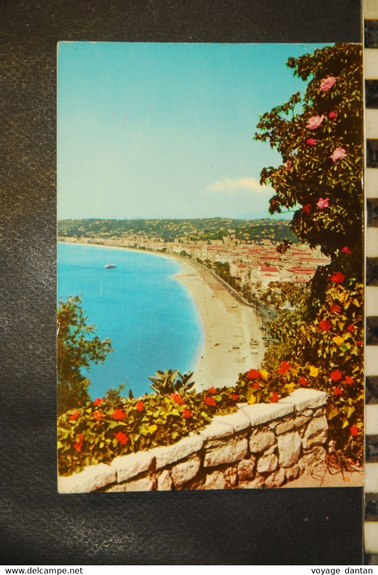 CP, 06, NICE - Vue Générale Prise Du Château, 182 - Multi-vues, Vues Panoramiques